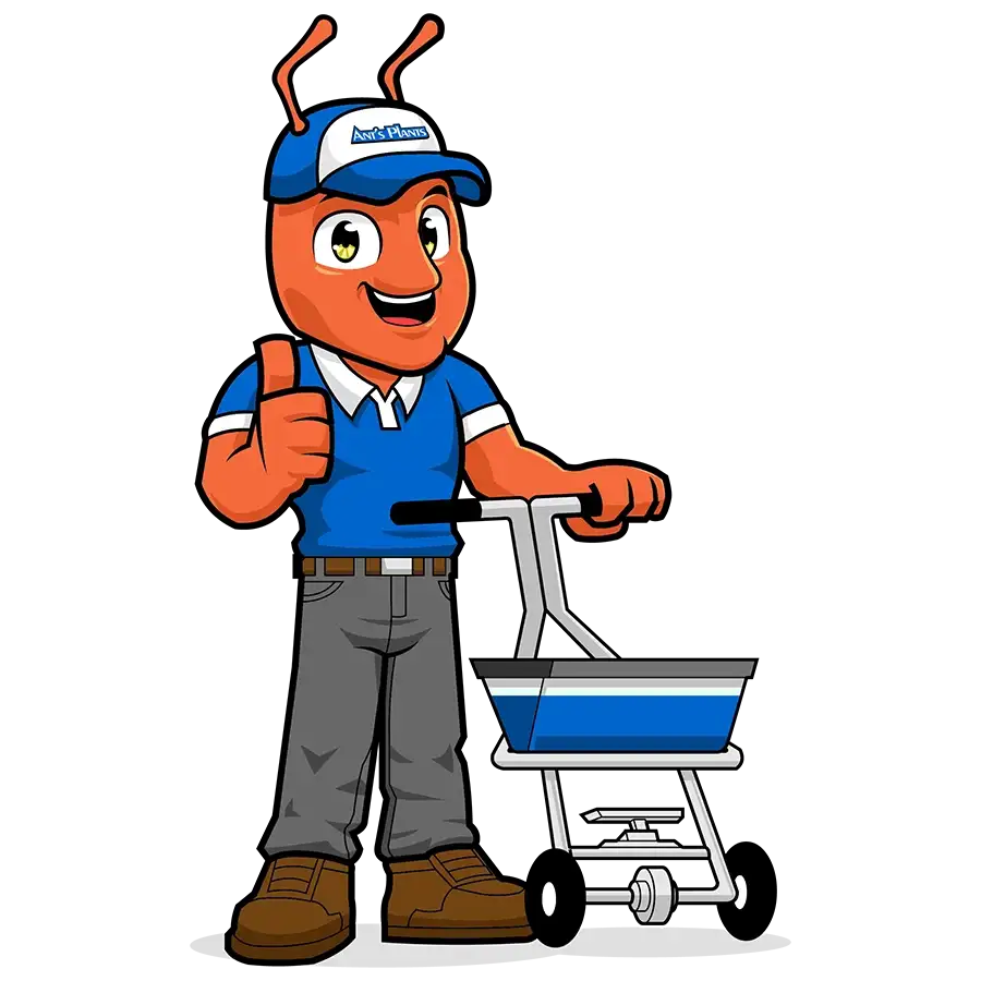 My Promise To You... When You Request A Quote – Ant's Plants