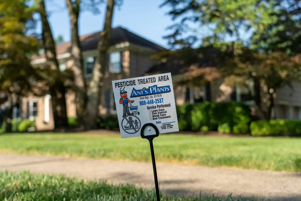North Jersey lawn with crabgrass pressure