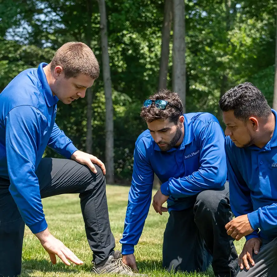 Professional lawn care and fertilization service treating a healthy green North Jersey lawn