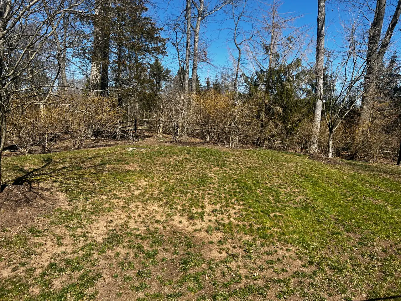 Bare lawn showing compaction and spring lawn damage in Basking Ridge NJ