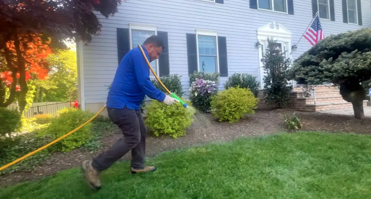 Fall Lawn Fertilization: What to Feed Your North Jersey Lawn and When